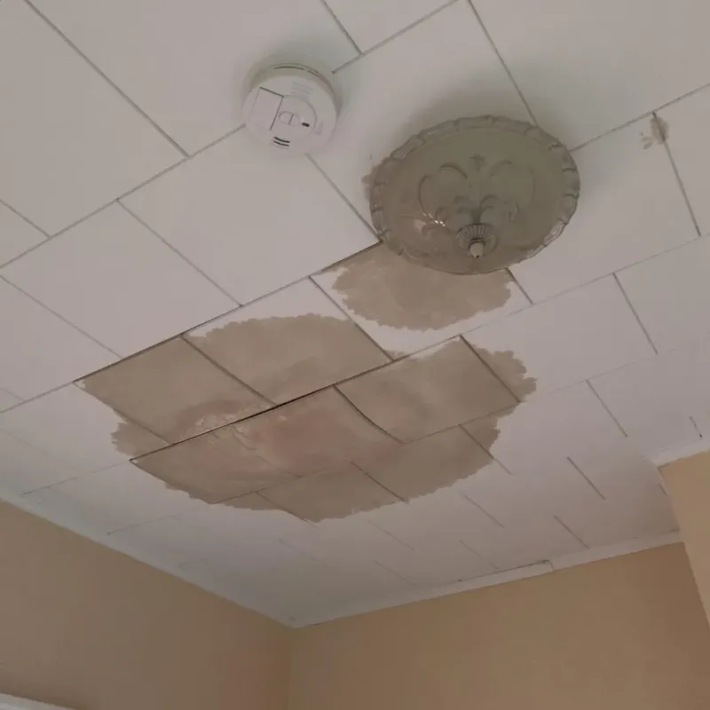 Ceiling Water Damage Repair in Cedar Bluff, VA