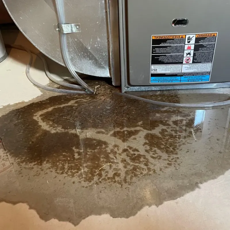 Pipe Burst and Leak Restoration in Cedar Bluff, VA