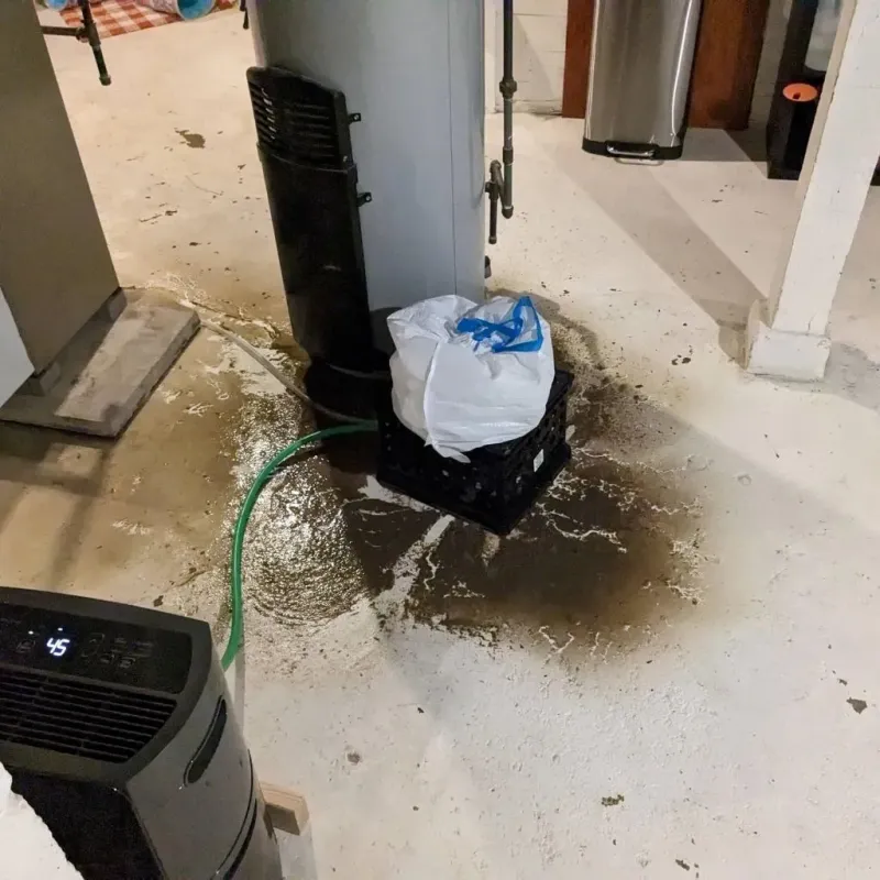 Sewage Backup Cleanup Service in Cedar Bluff, VA